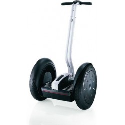 Vehicule electrice